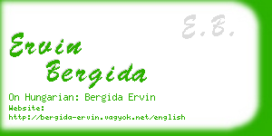 ervin bergida business card